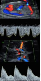 Merle Sánchez López-3