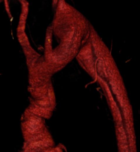 Davinia Elizabeth Sámano Saucedo-6