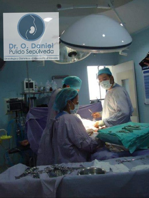 O. Daniel Pulido Sepúlveda-11