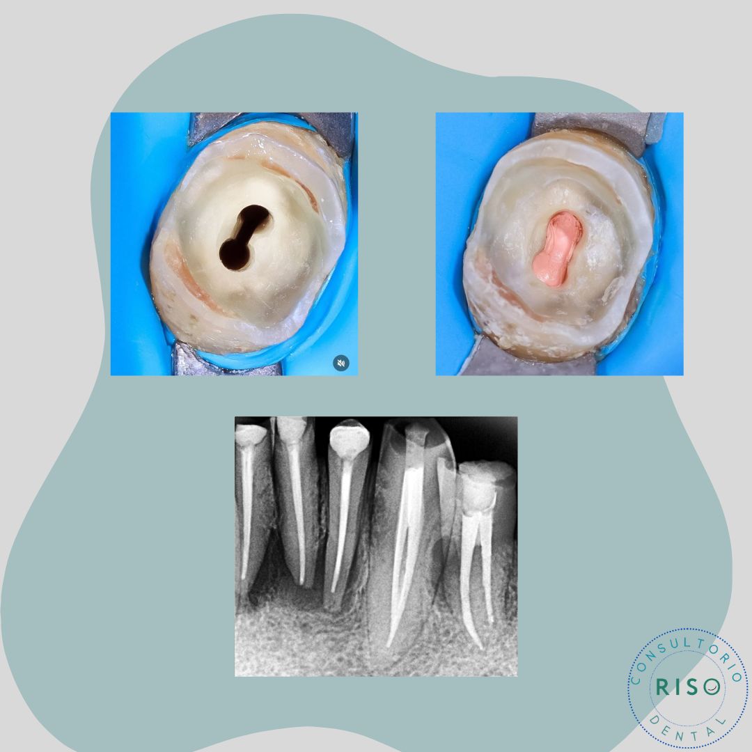 Cinthya García Sámano-25