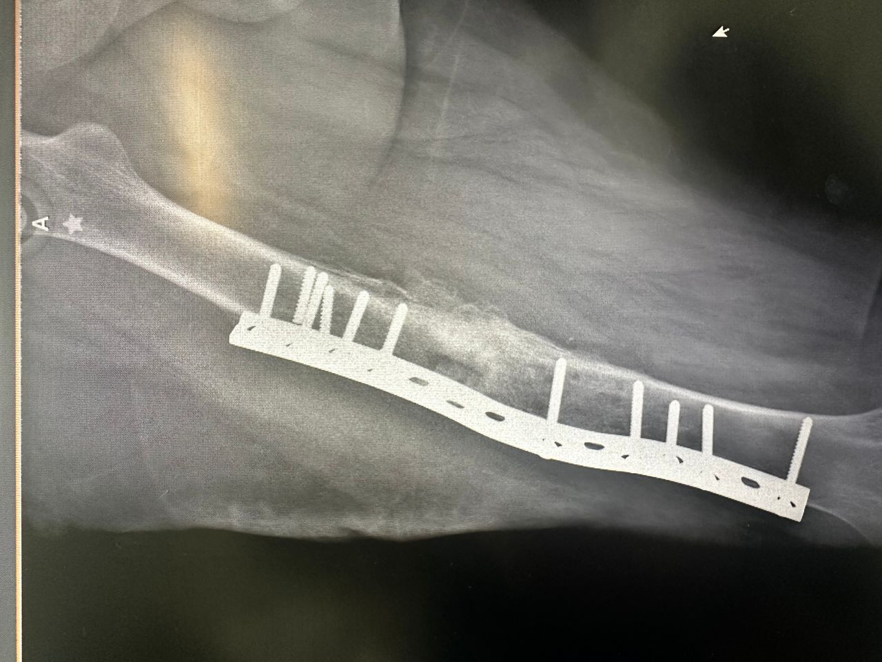 Jesús Guerra Jasso-4