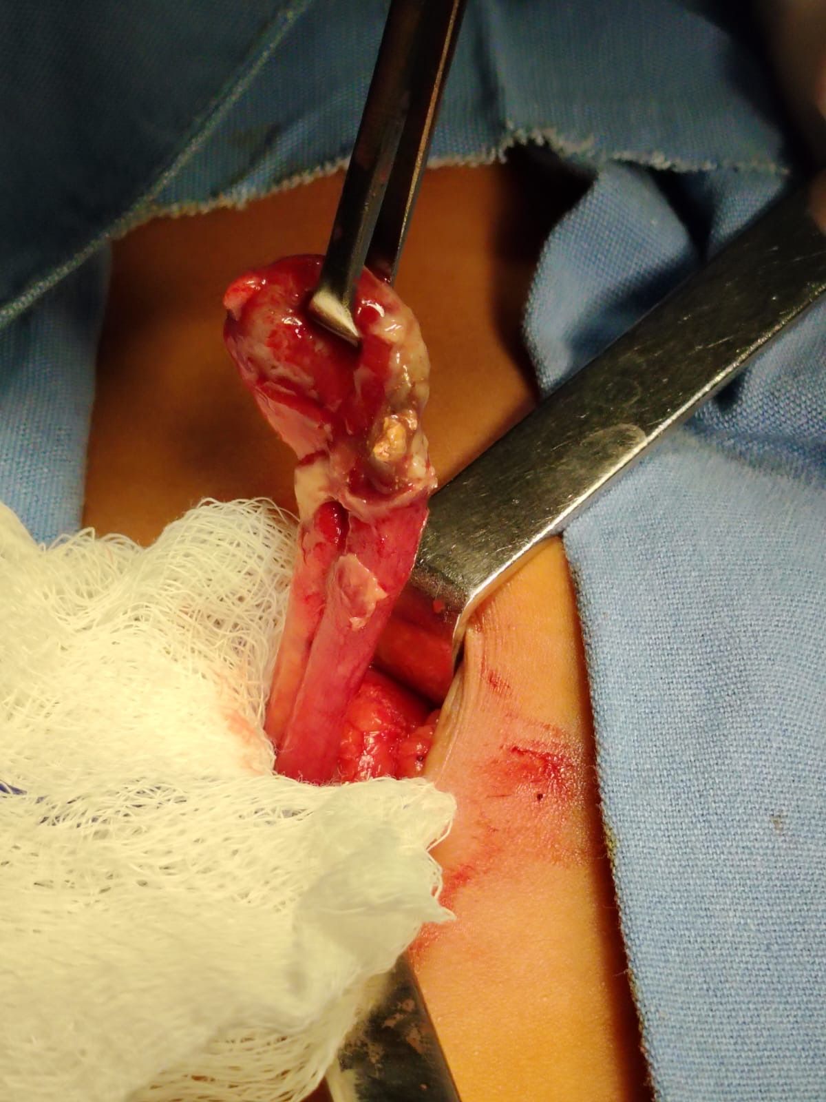 Romeo Guillen Constantino-3