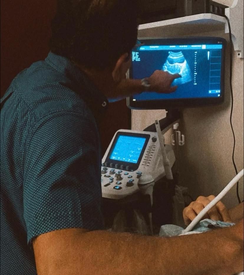 Juan Flores Cardoso-4