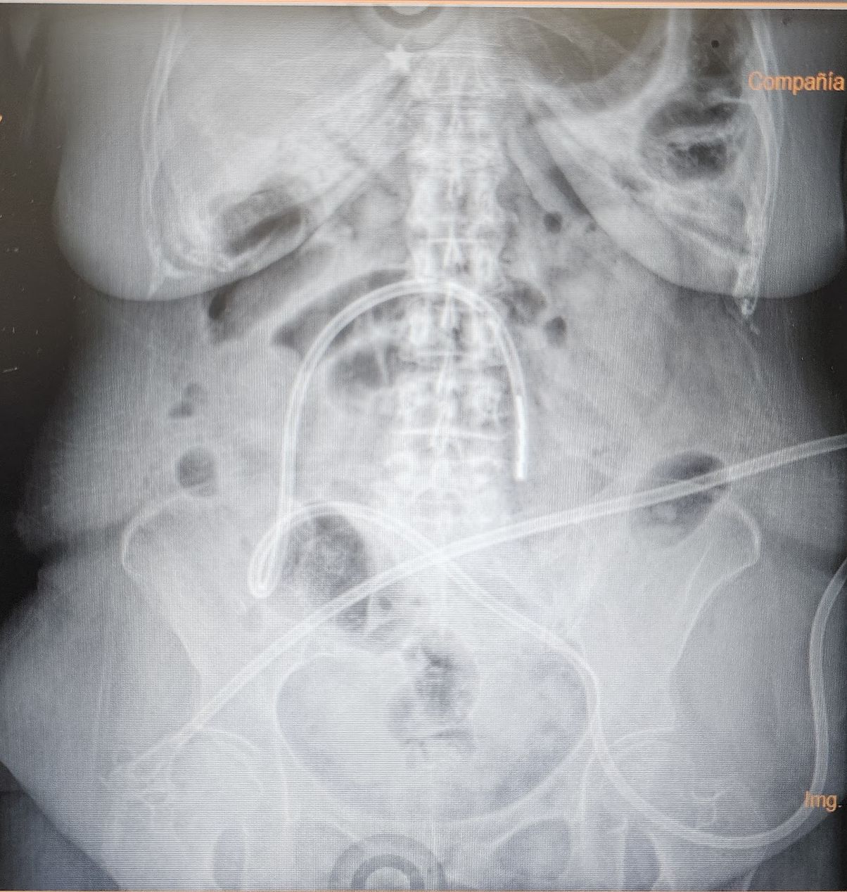 Víctor Manuel Ramírez Carpio-1