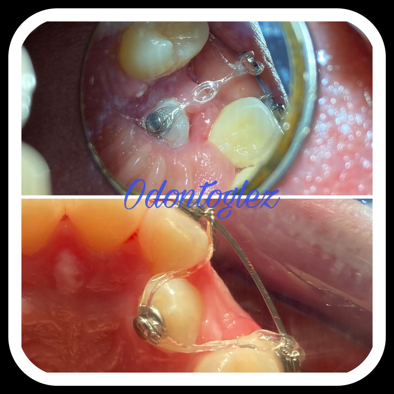 Eduardo González Martínez-9