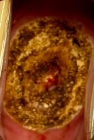 Marcos Javier Cano Luna-2