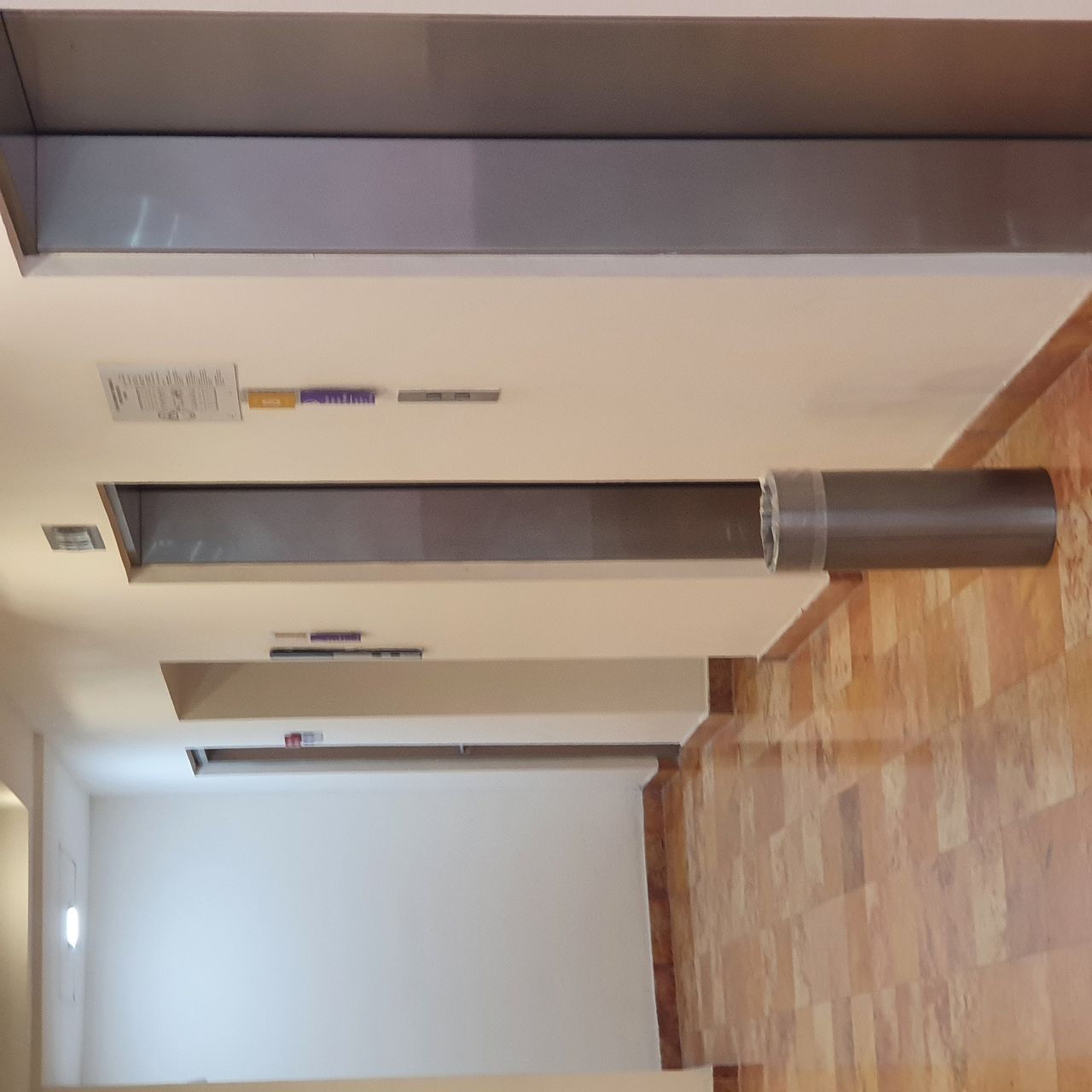 Luz Maria Rivas Moreno-1