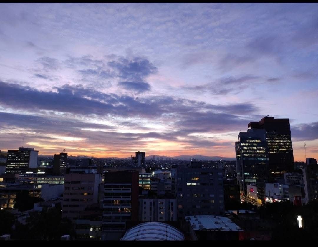 Sandra Rojas Cisneros-4