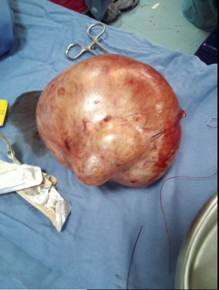 Eduardo Mariano González Gállego-7