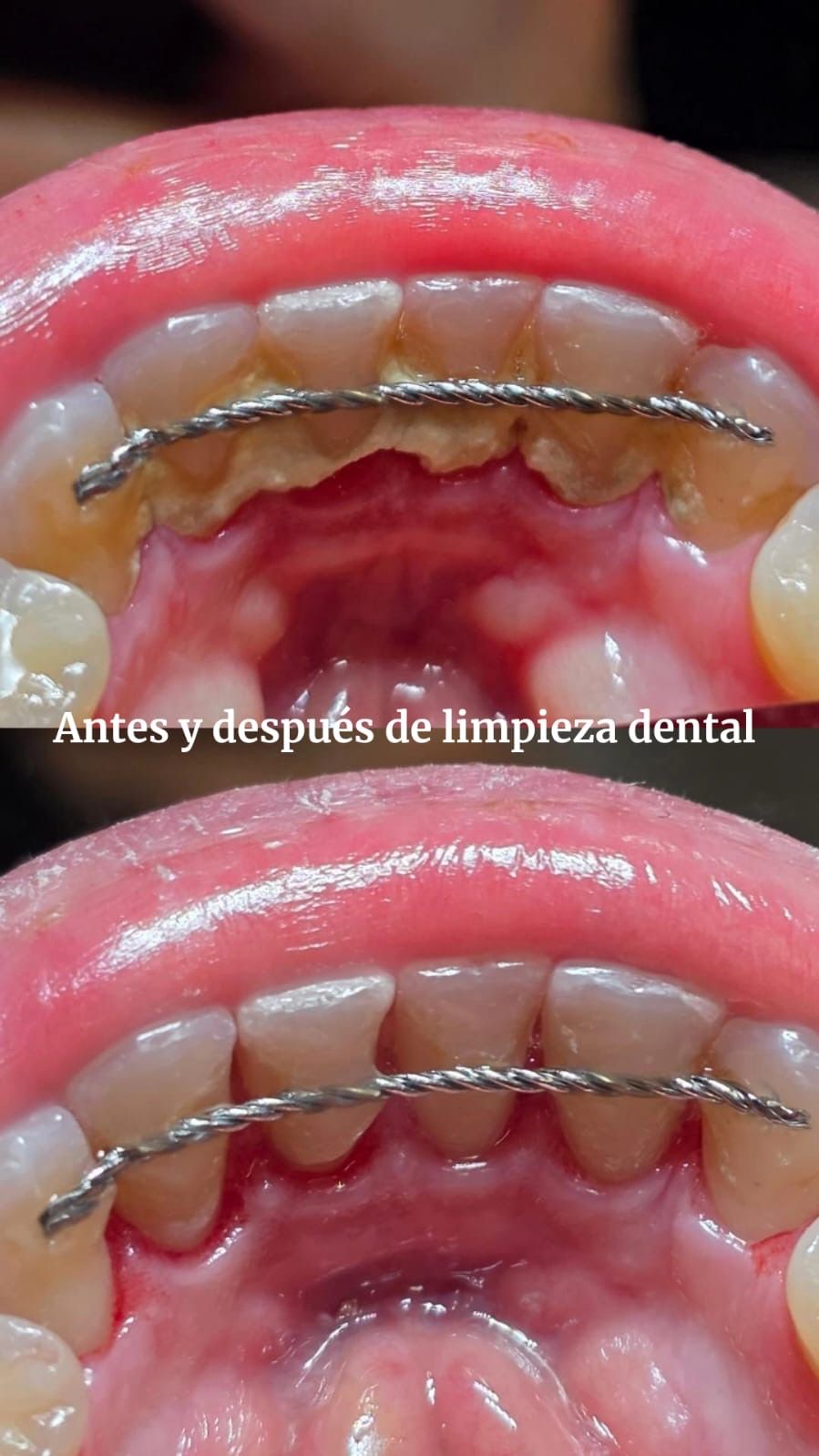 Lourdes Gutiérrez Marin-3