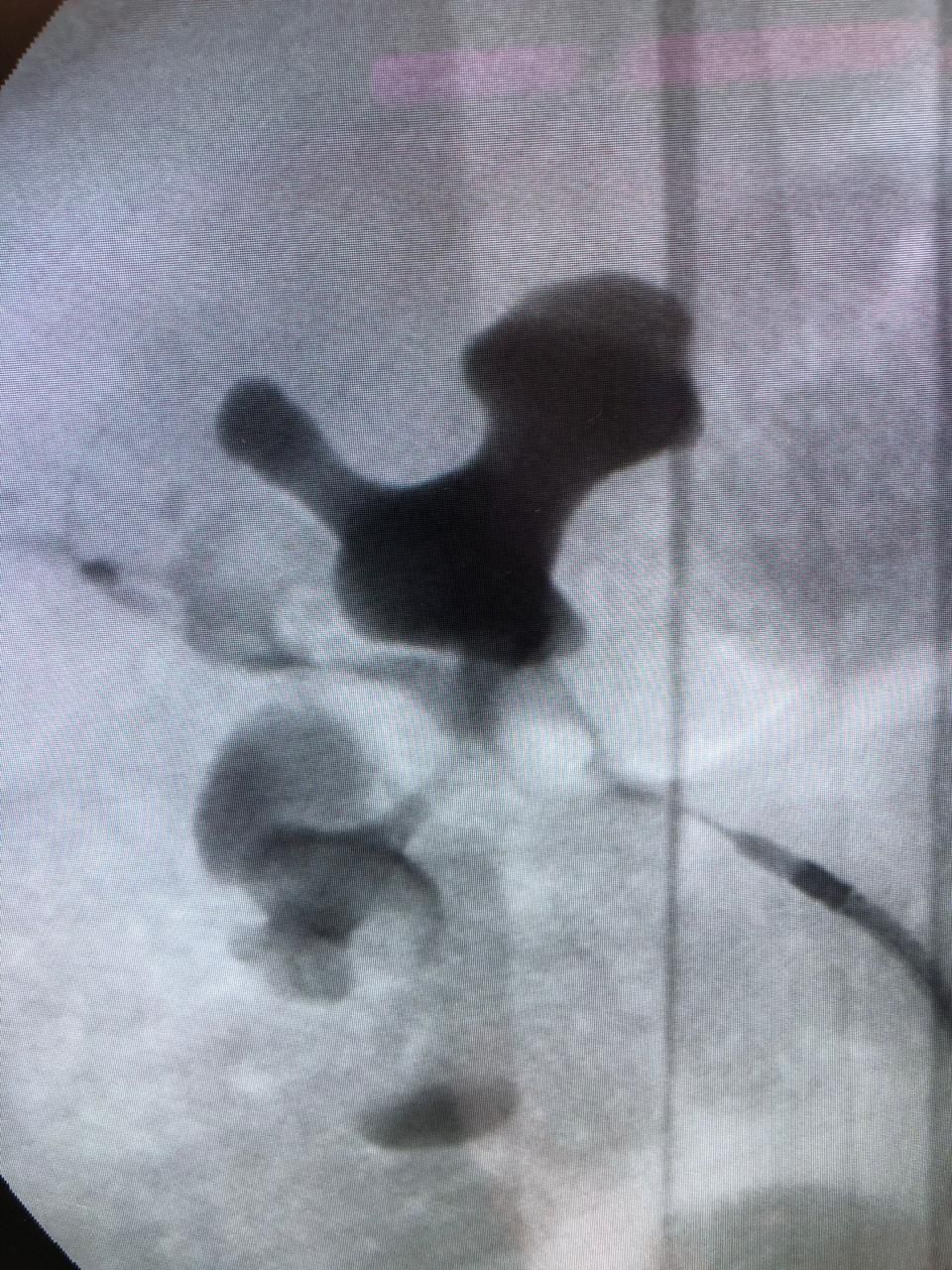 Gerardo Rodrigo Lemus Mena-6