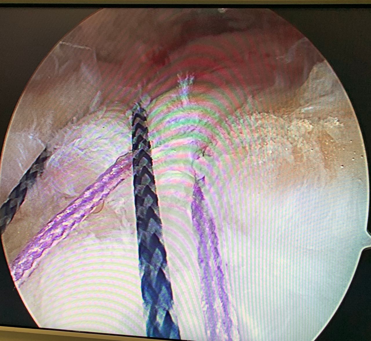 Javier Daniel González Fernández-5