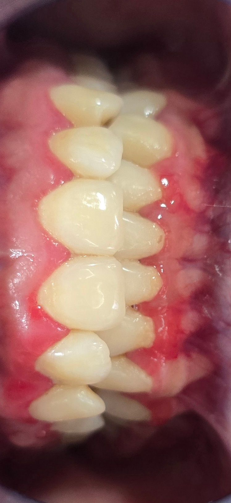 María Fernanda Castillo Cruz-1