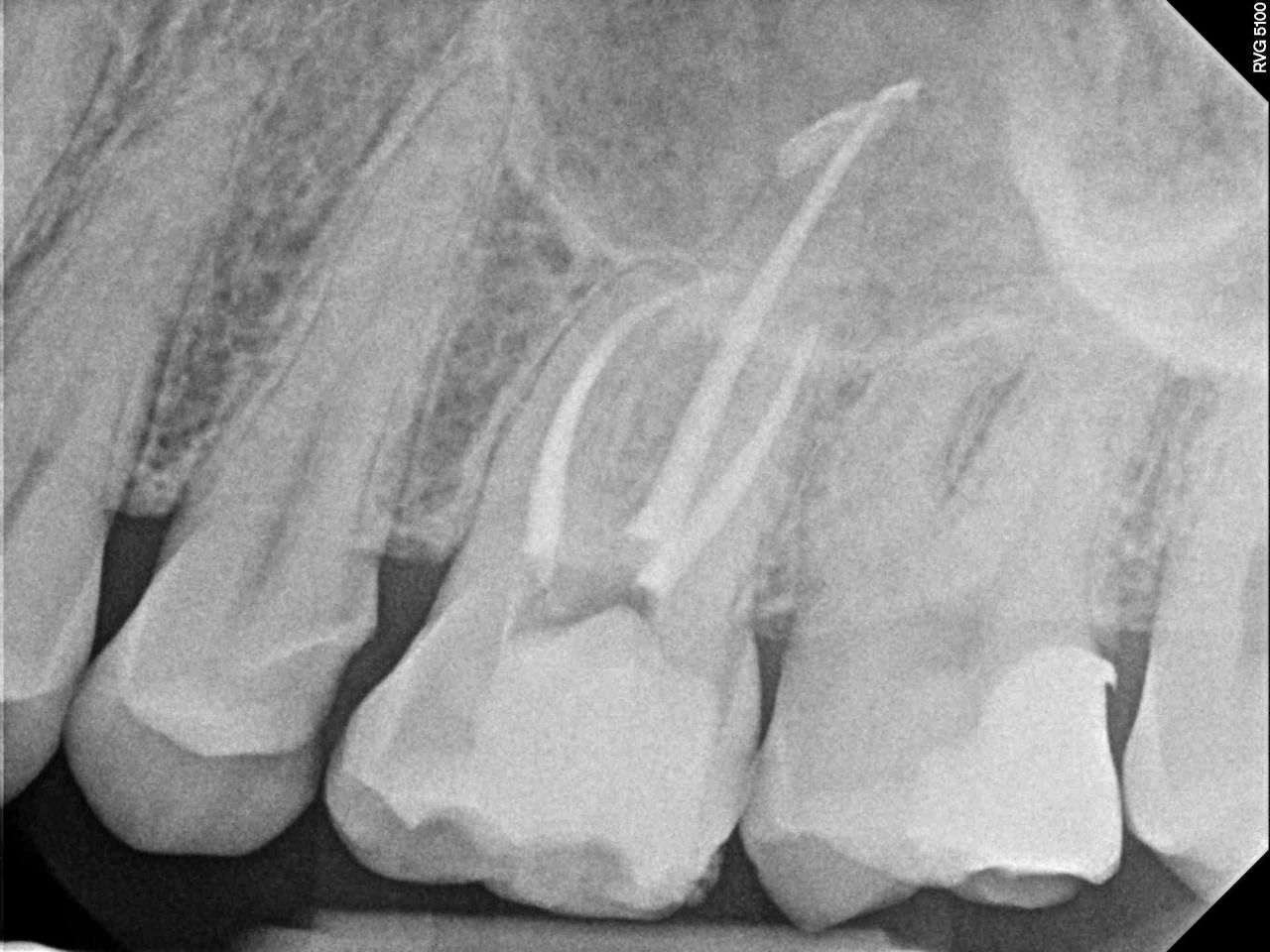 Mariela Fuentes Astudillo-2