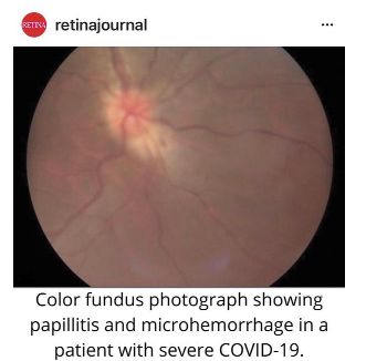 Rosa María Romero Castro-27