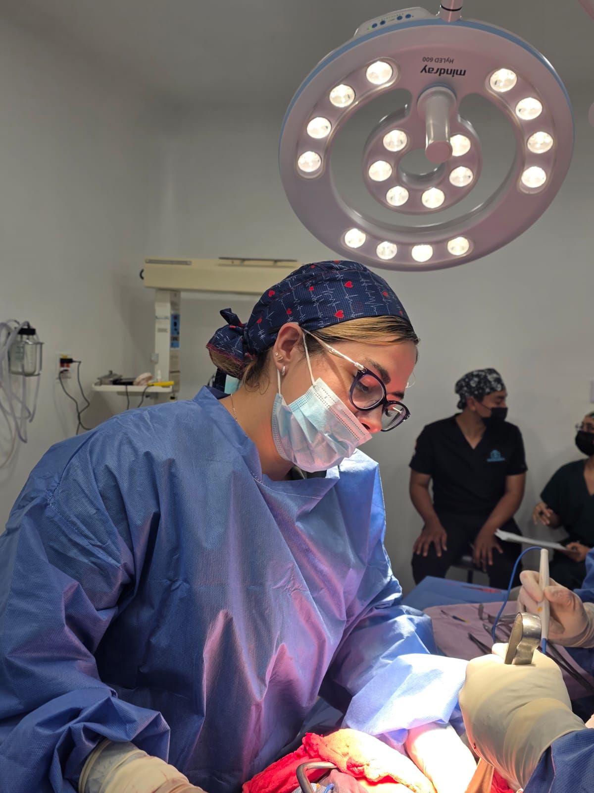 Viridiana Villanueva Mendez-1