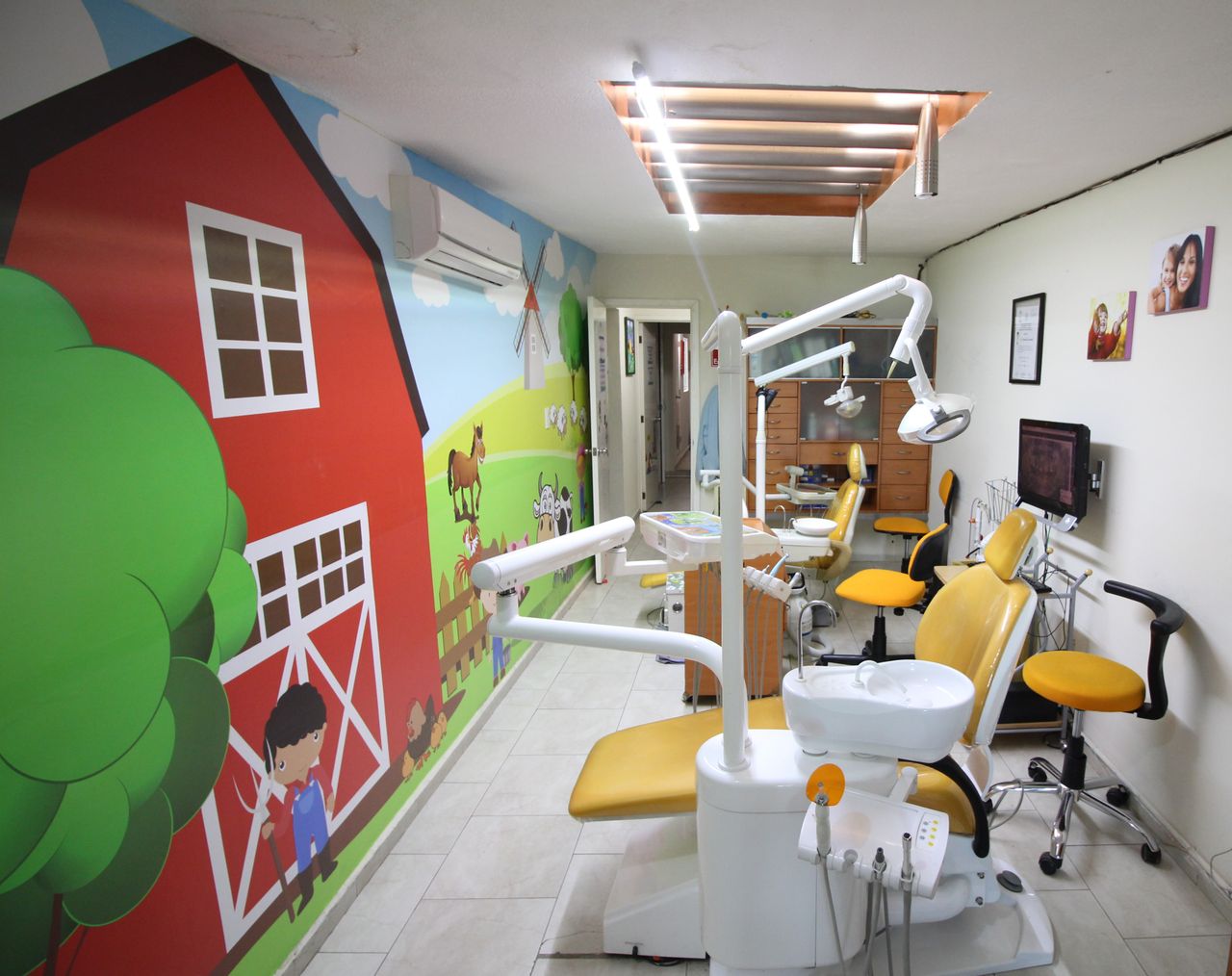 Alejandra Ruiz Ibarra-3