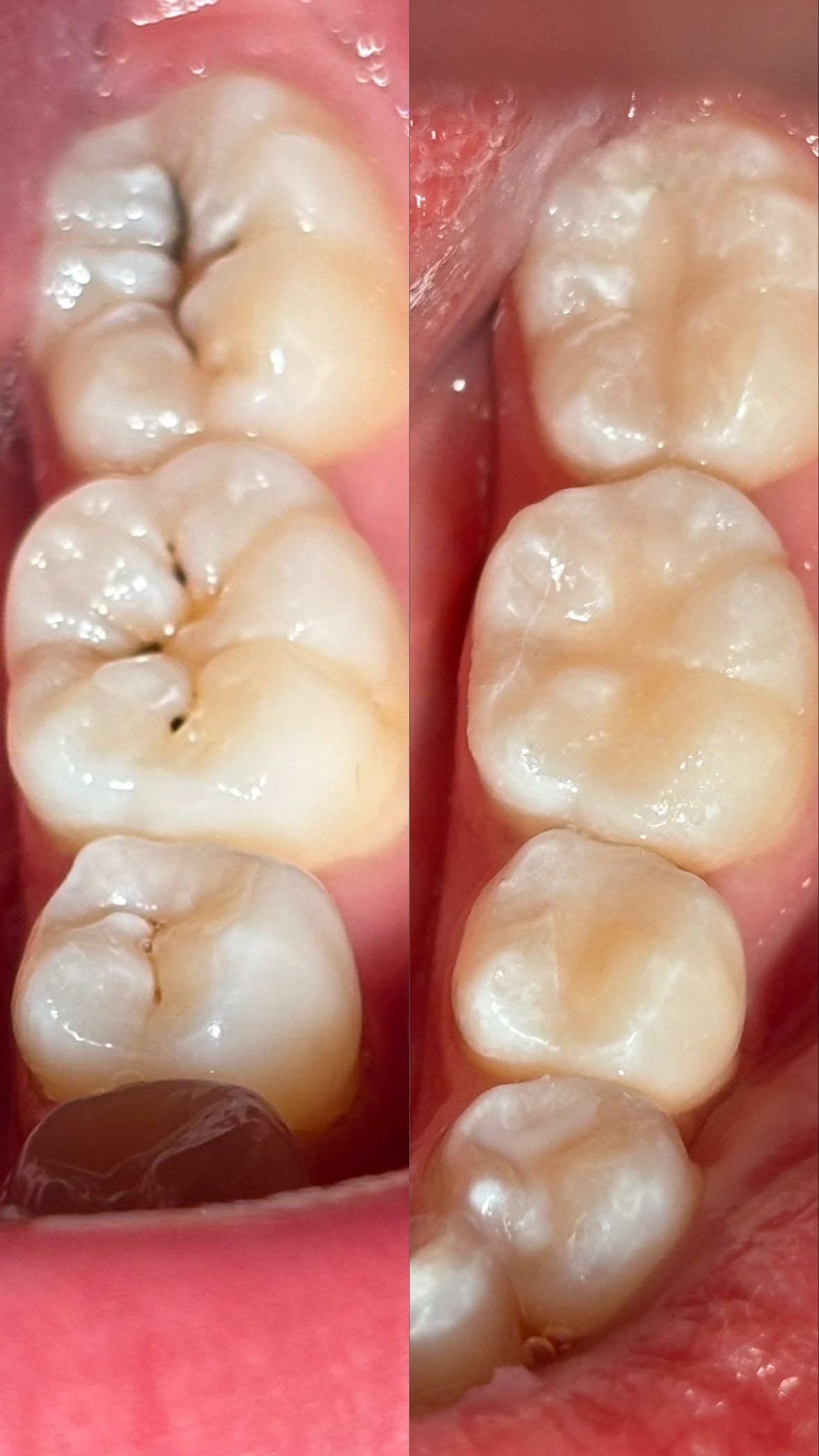 María Paula  Flores Novoa-18