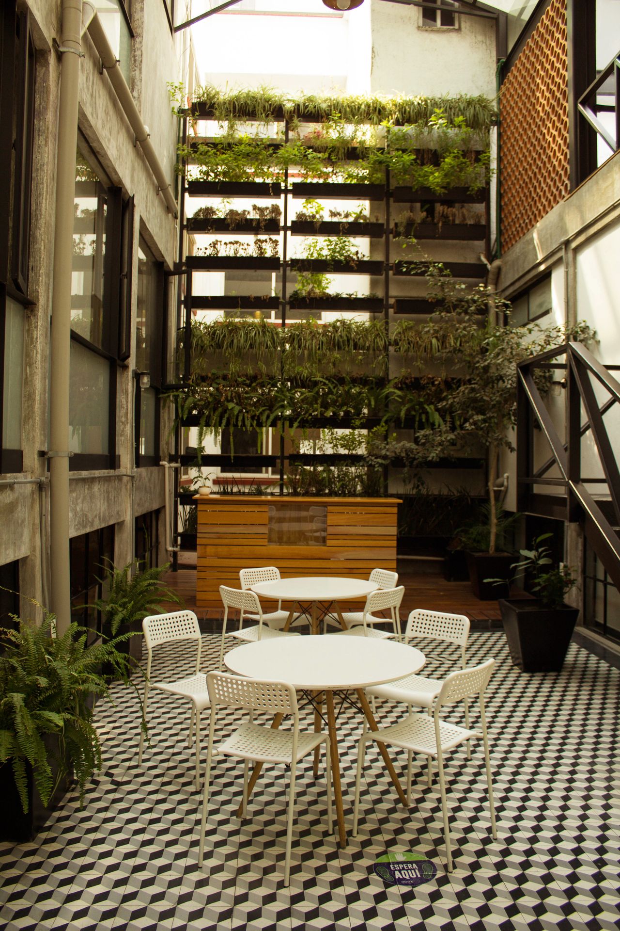 Karla Fernanda Rosas López-8