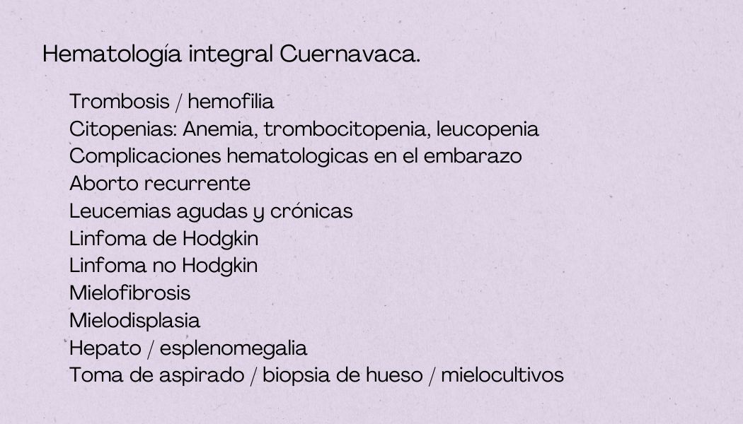 Brenda Chávez Sánchez-2