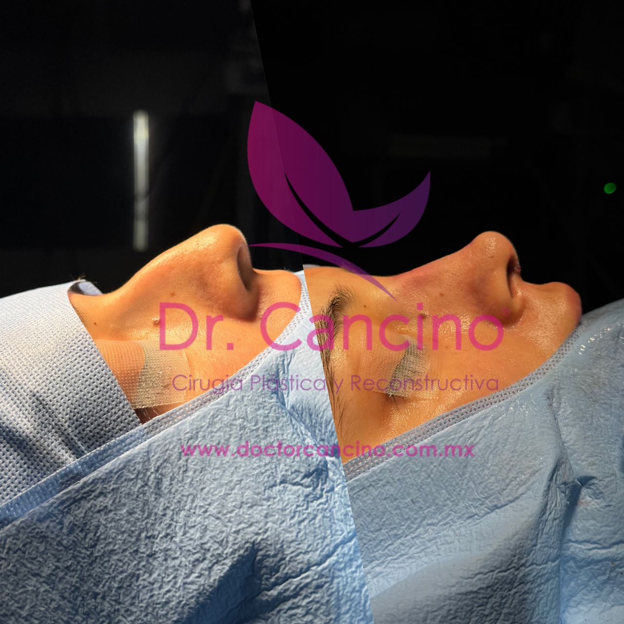 Luis M. R. Cancino-72