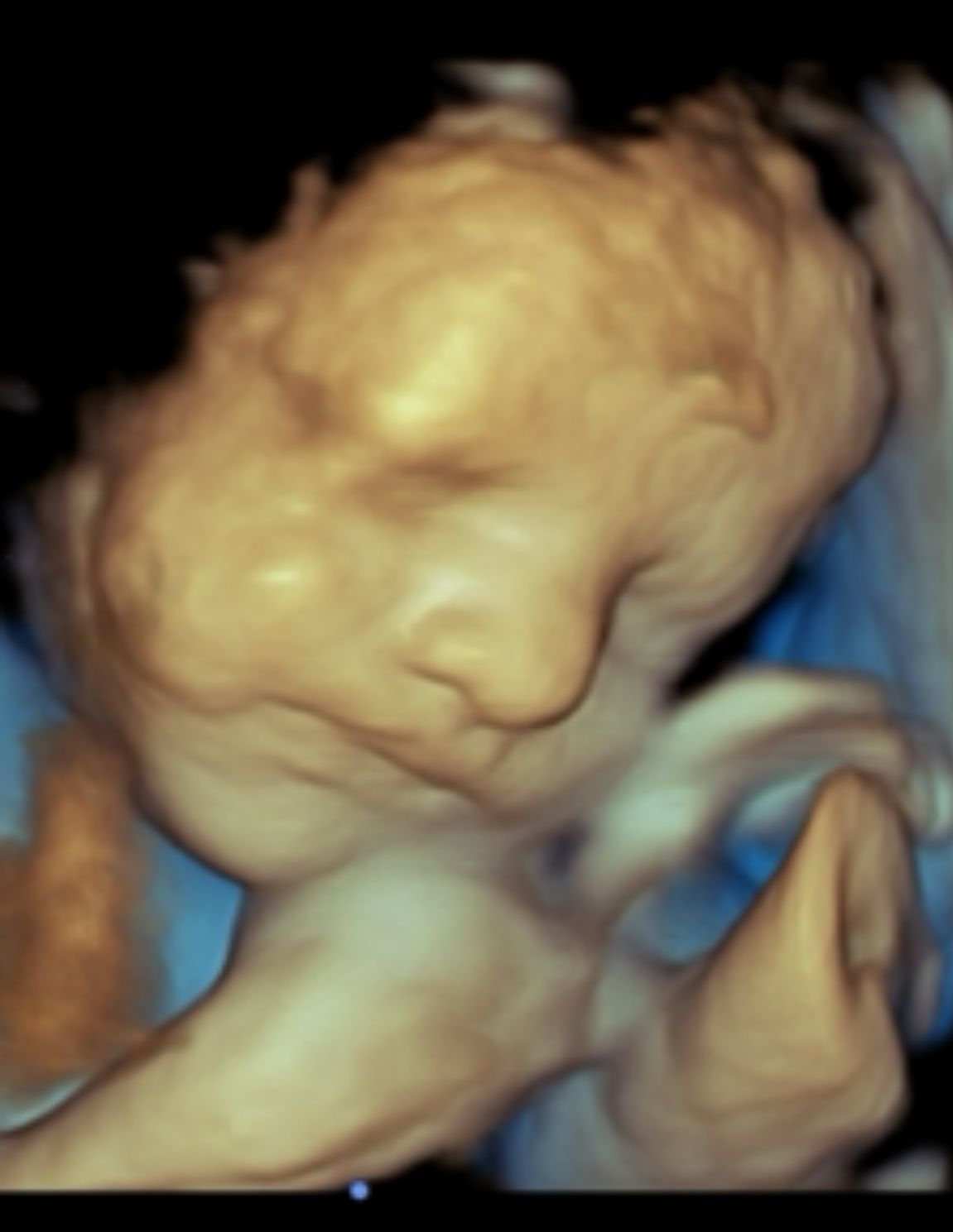 Habacuc Ortega Uriostegui-4