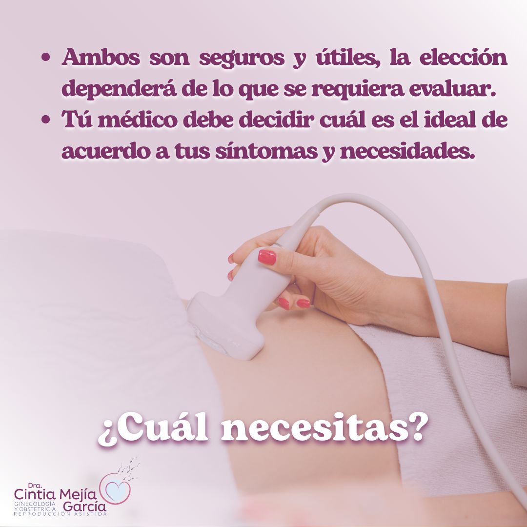 Cintia Mejia Garcia-9