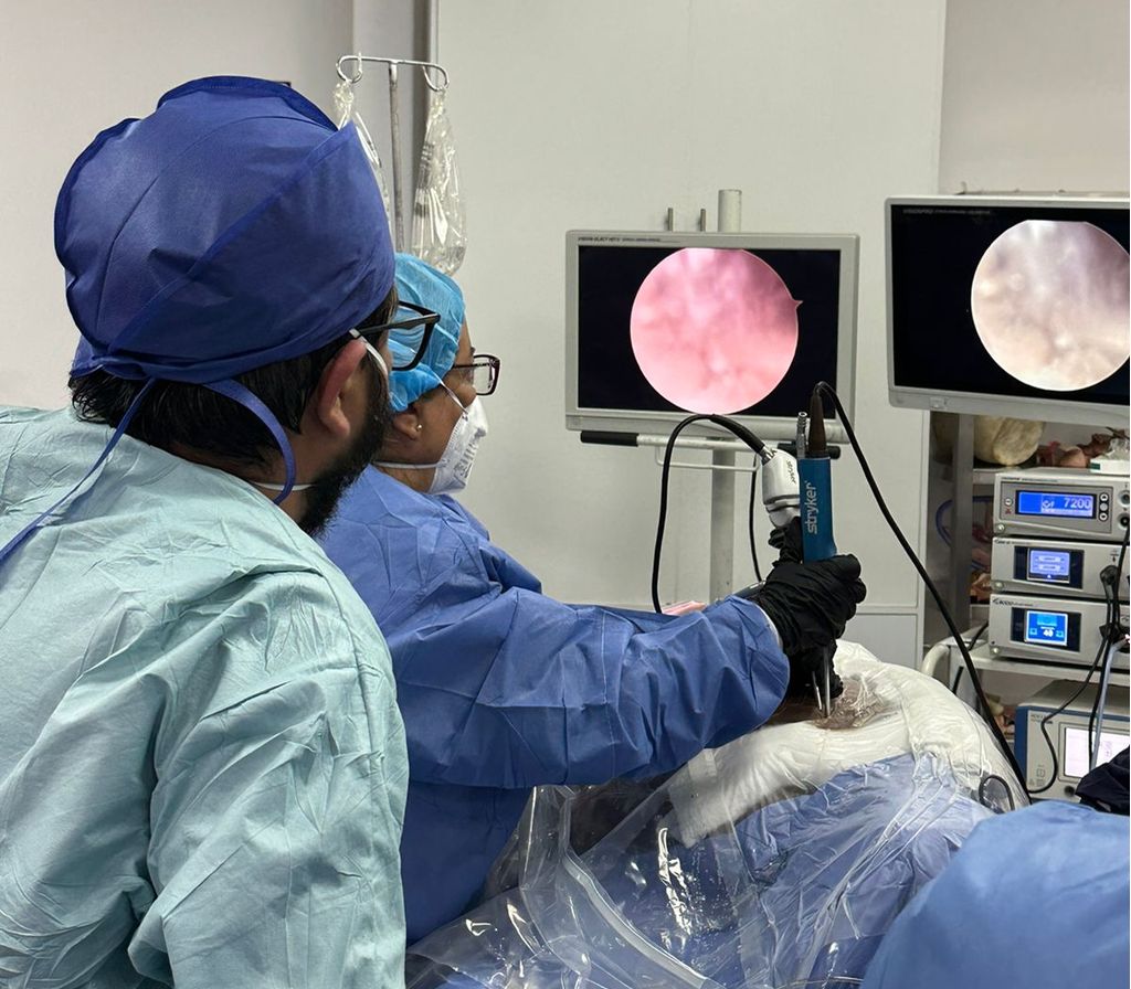 Griselda Collado Arce-2