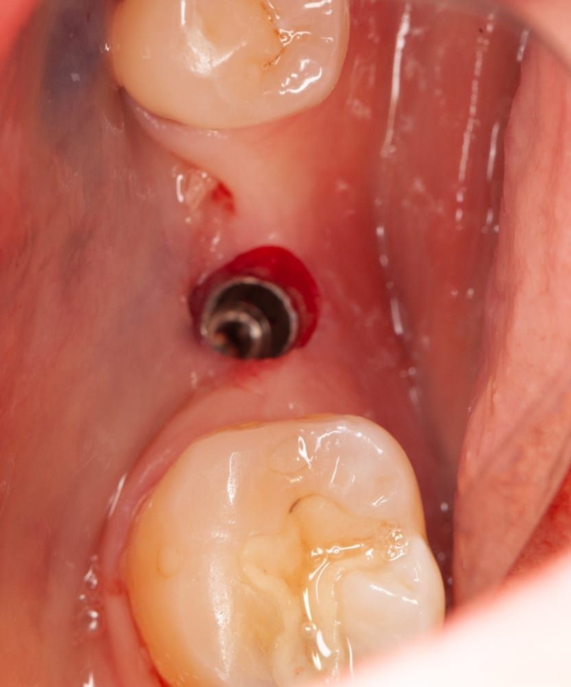 Leticia Hernández-4