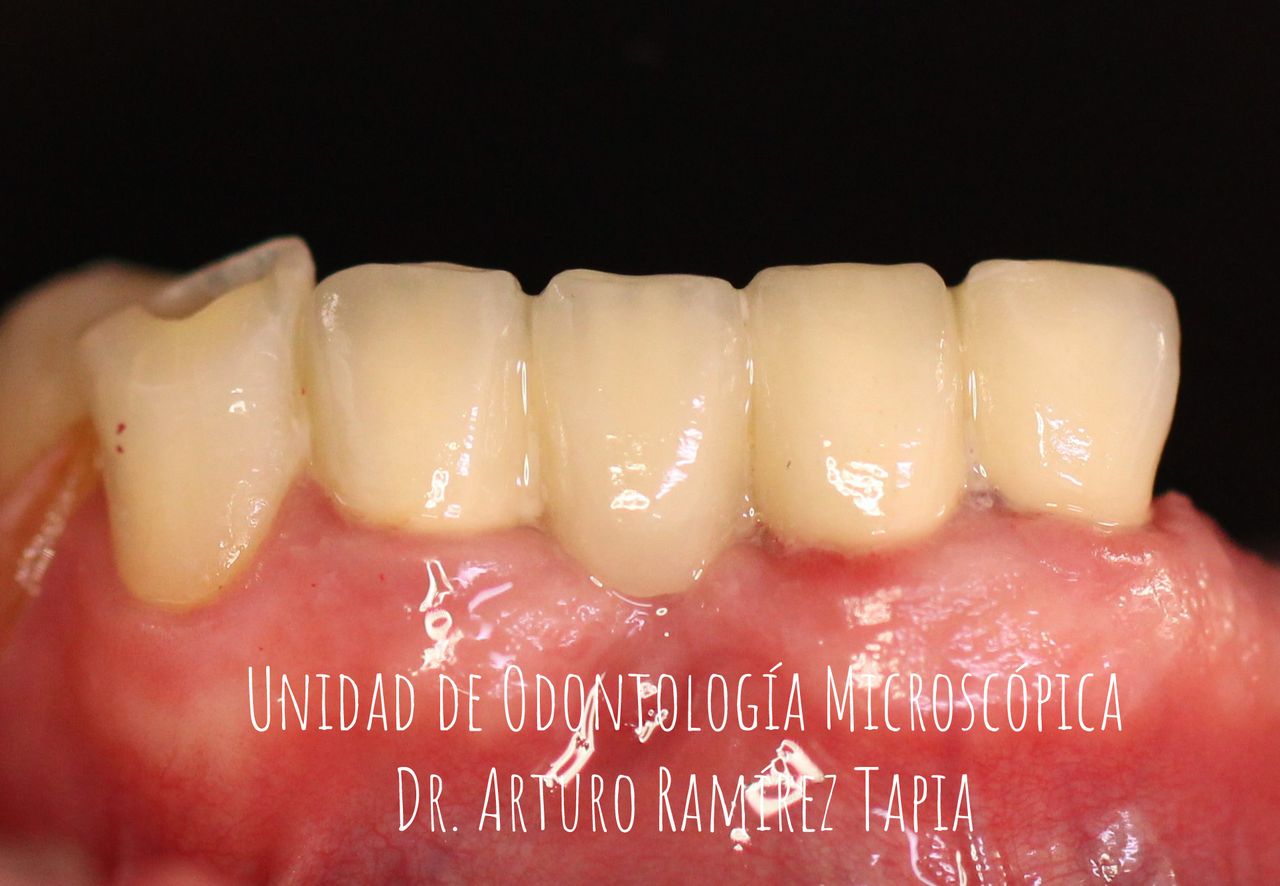 Arturo Ramírez Tapia-12