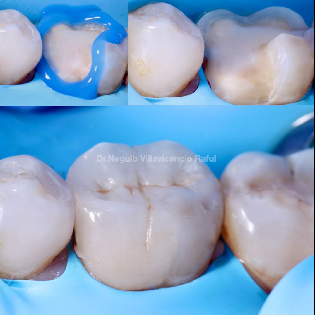 Neguib Villavicencio Raful-21