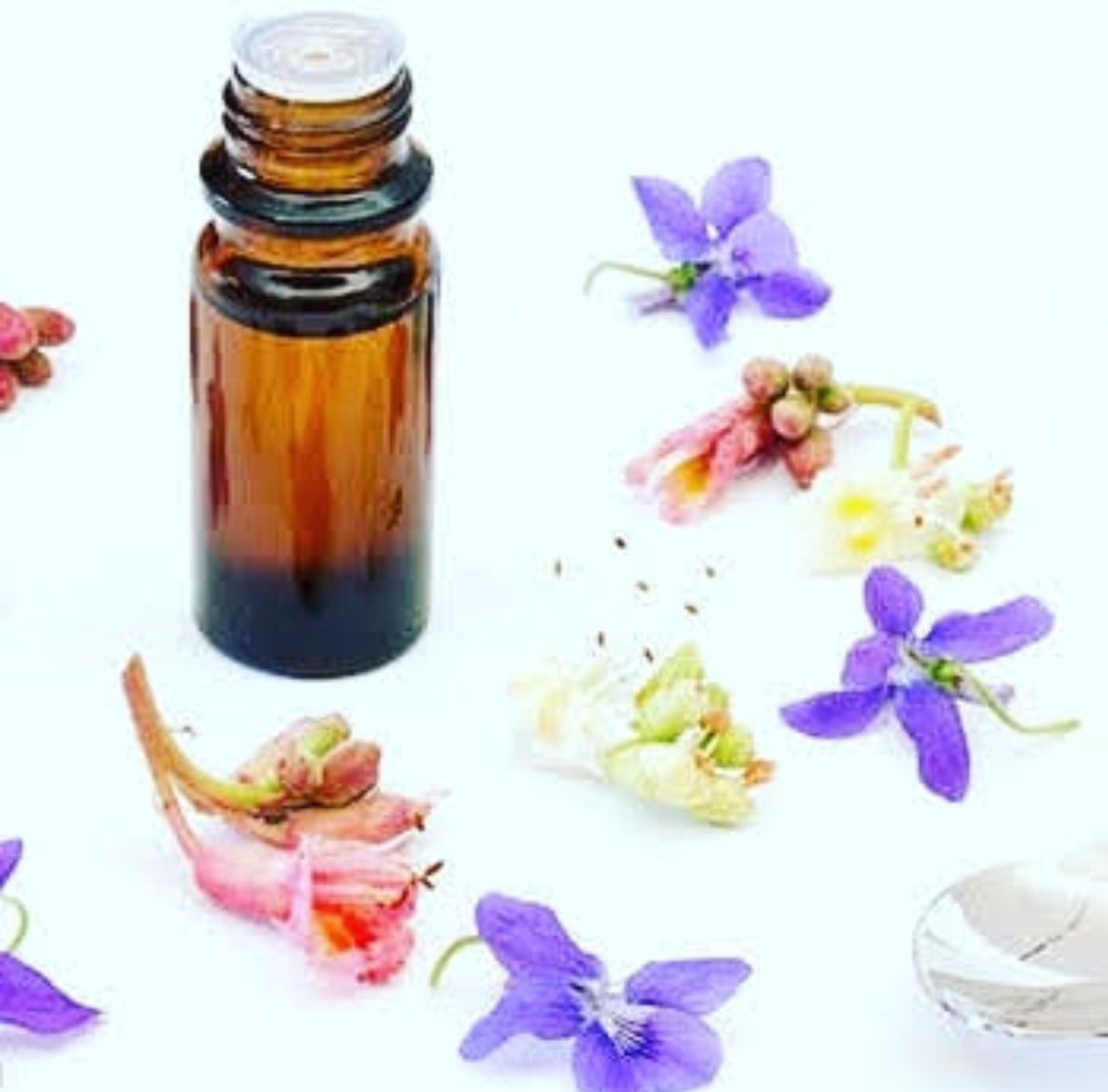 Mayela Carranza Bandera-4