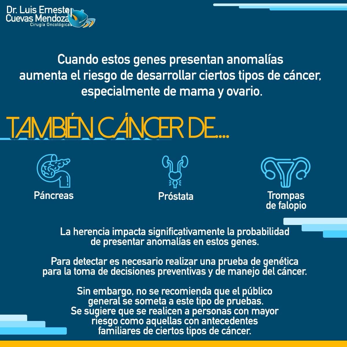 Luis Ernesto Cuevas Mendoza-298