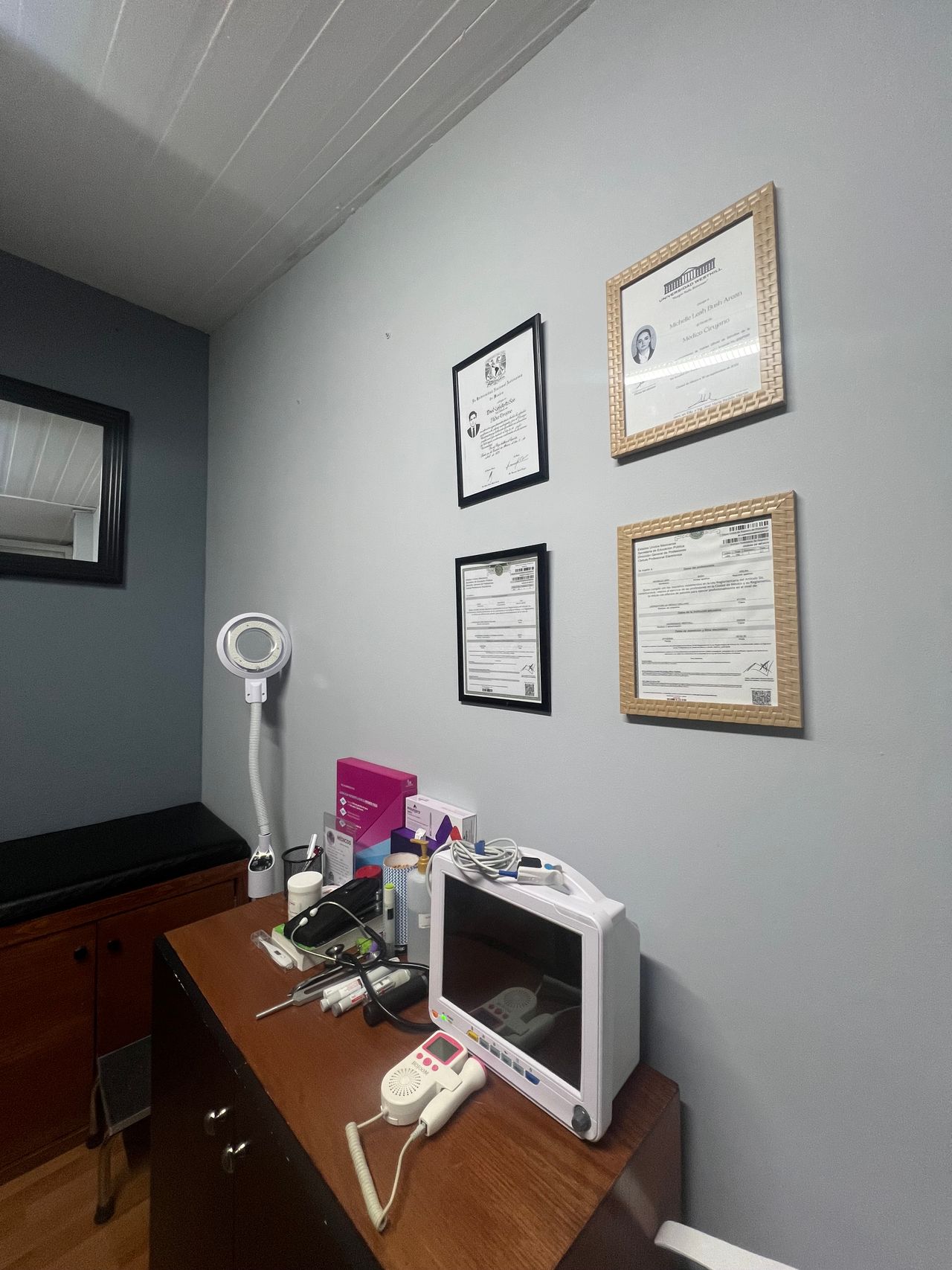 Michelle Leah Bush Arean -8