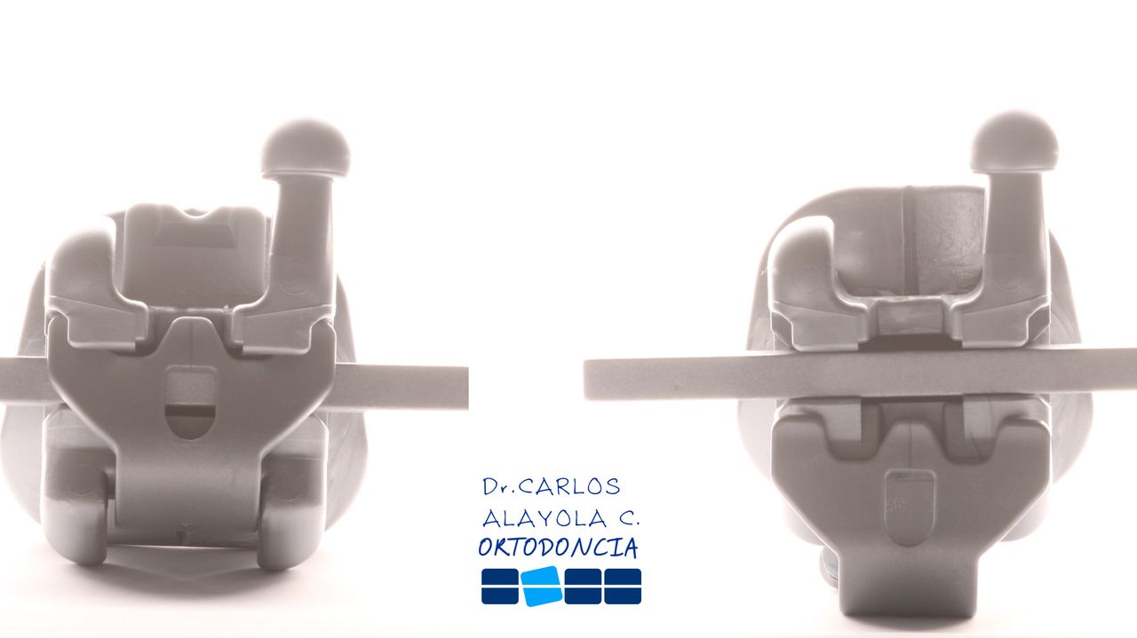 Carlos Humberto Alayola Cáceres-8