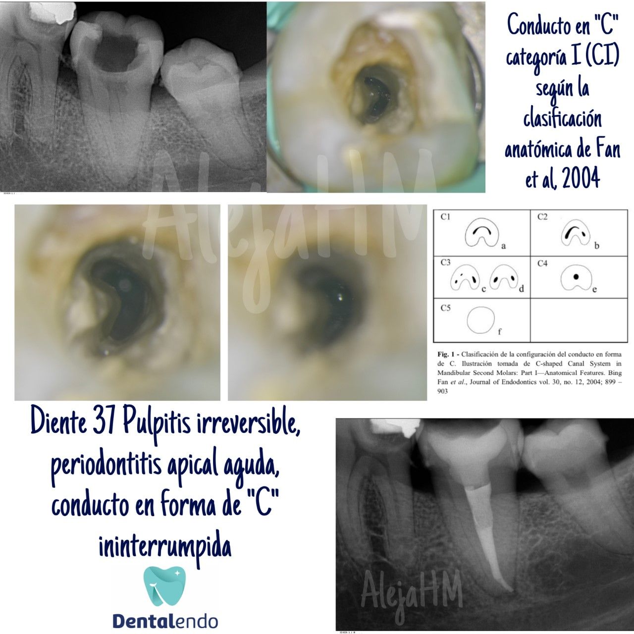 Alejandra Heredia Morán-3