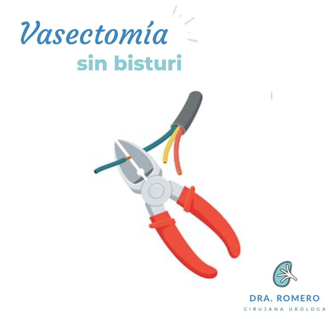 Rosa Estela Romero Aguilar-3