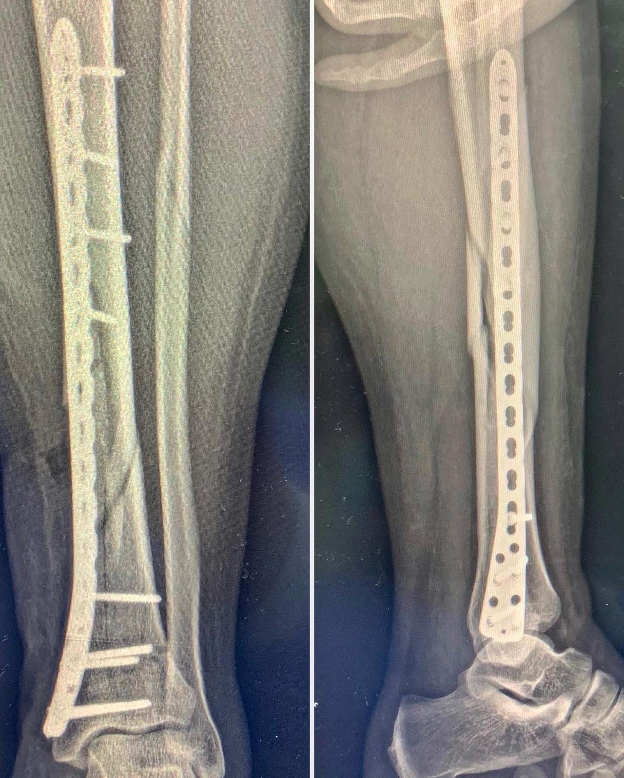 Guillermo Fernández De Lara Guevara-14