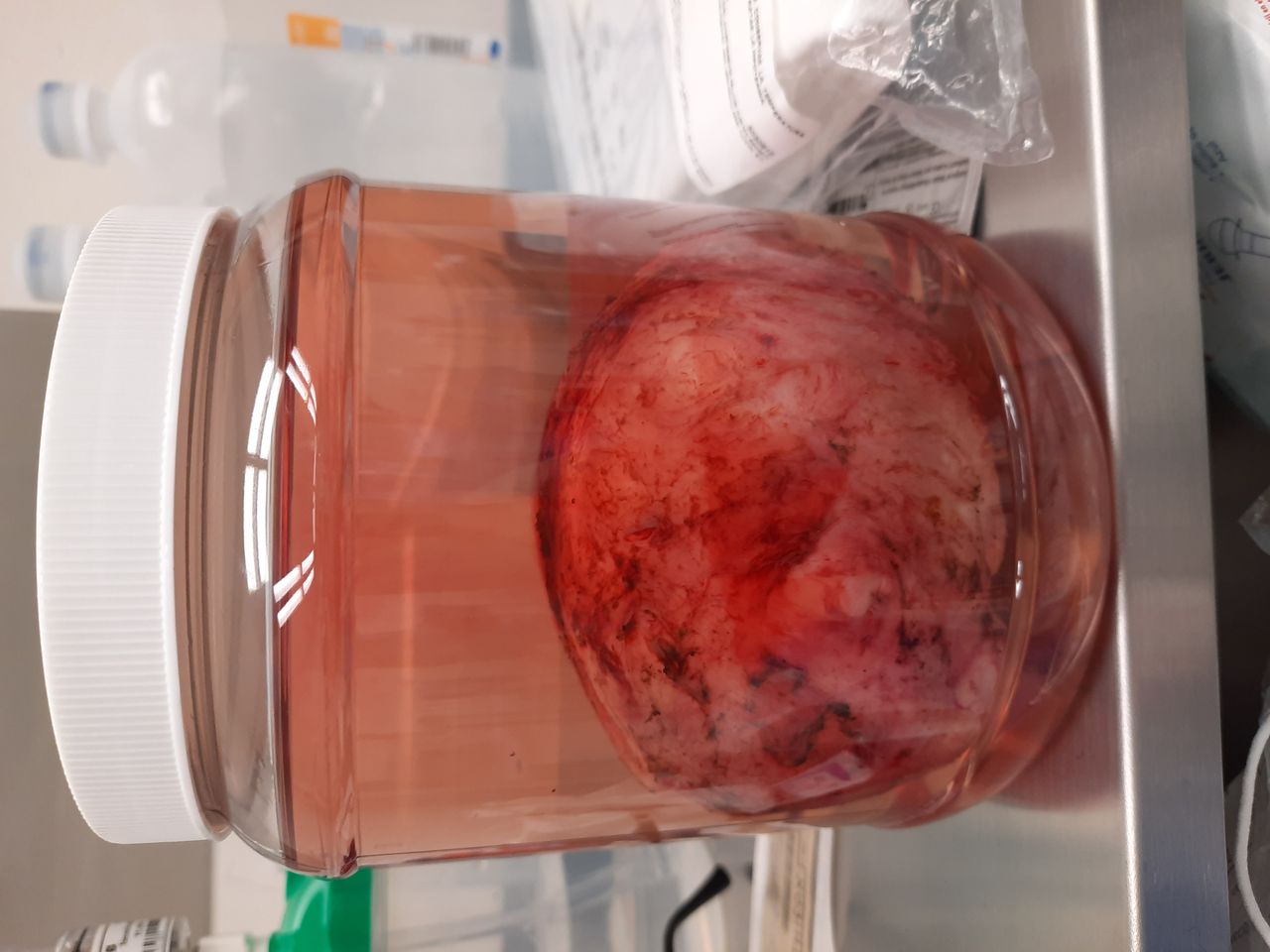 Nayeli Martínez Jaime-10