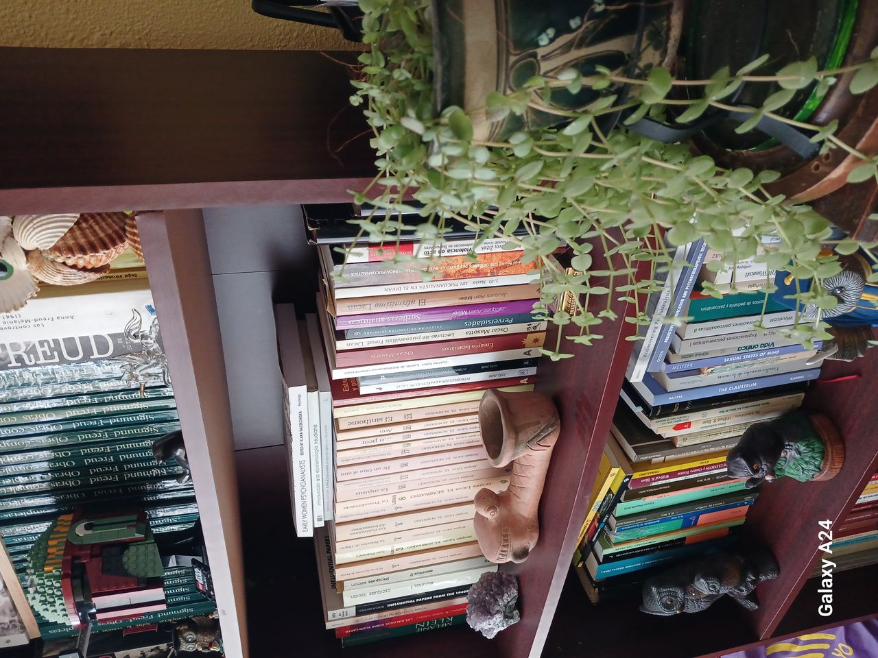 Ana Madrigal Olivares-1