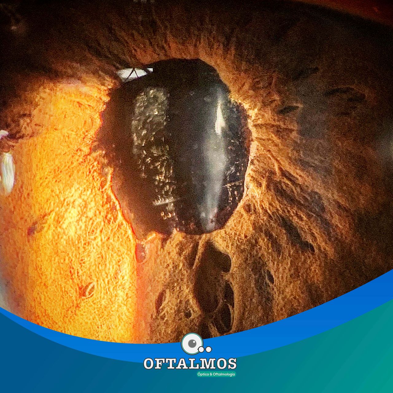 Pavel Flores Moreno-3