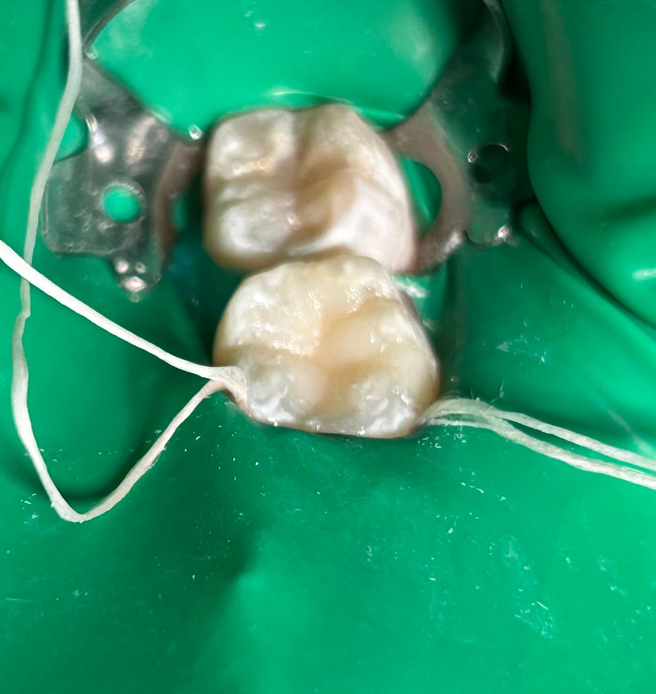 Sandra Carolina Cigala Martínez-23