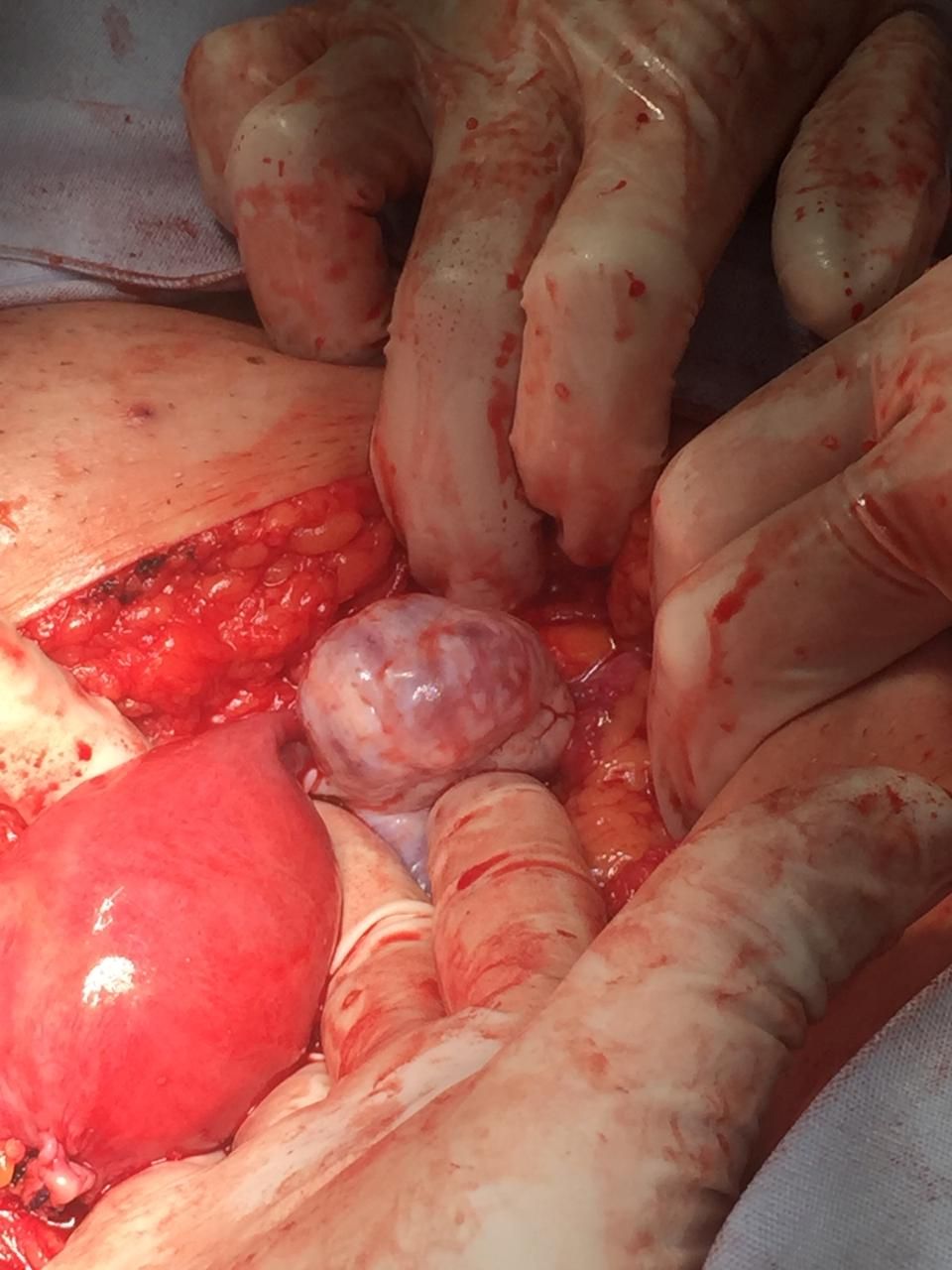 Rubria Irene López Sánchez-0