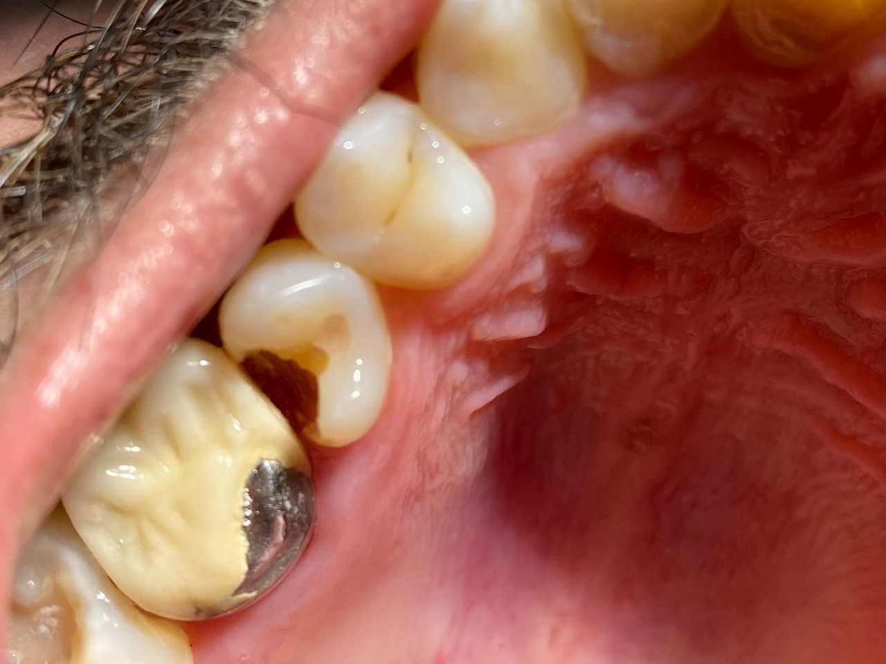 Andrea Montserrat Castellanos Ramírez-3