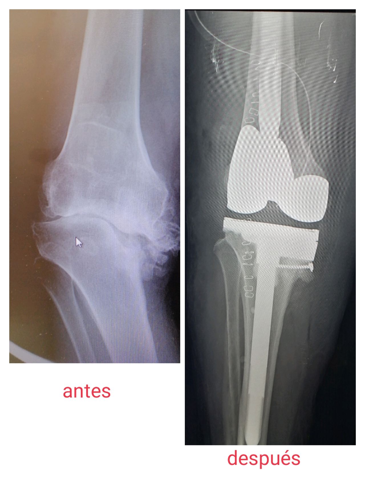 Jorge Aragon Aguilar-10
