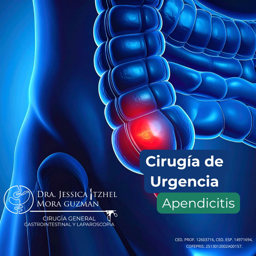 Jessica Itzhel Mora Guzman-6