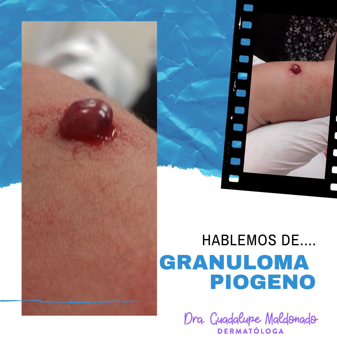 Guadalupe Maldonado Colín-3