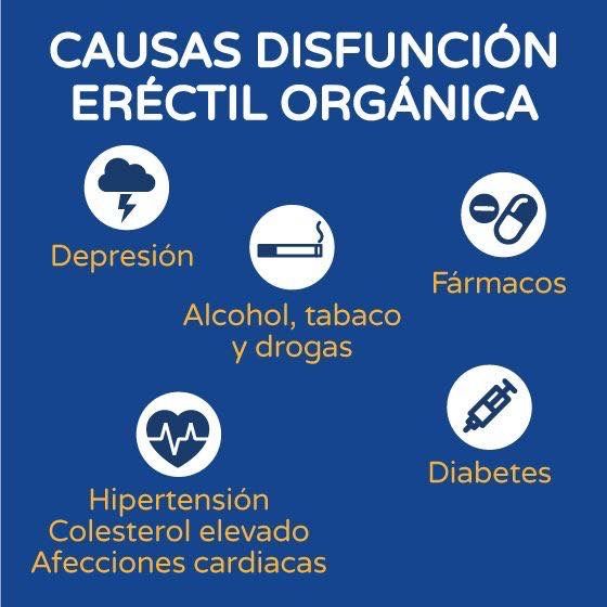 Alejandro Ibarra Ordóñez-26