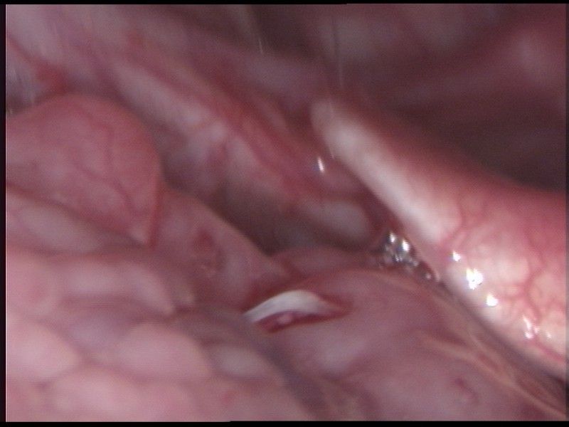 Victor Ignacio Rubi Vazquez-2