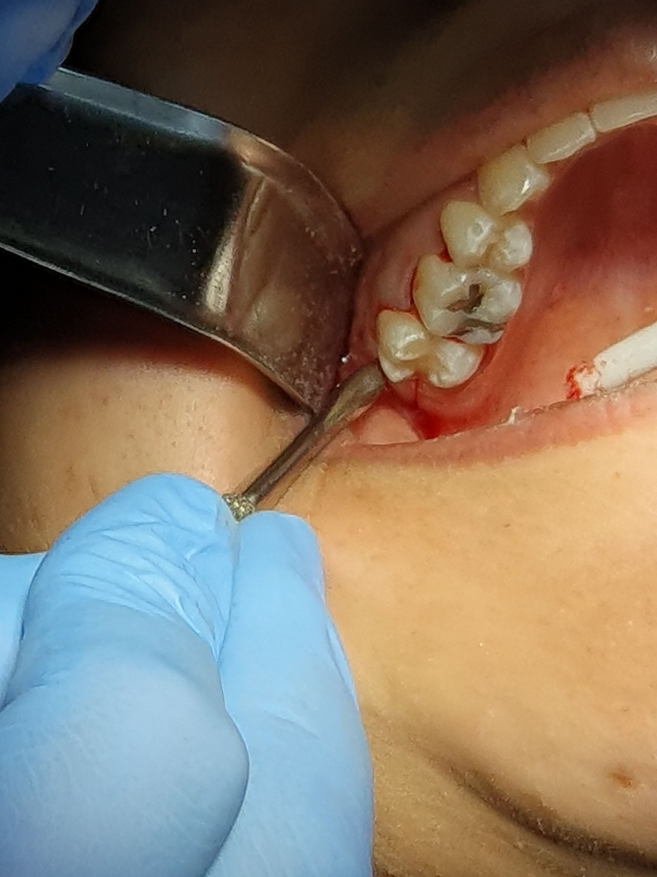 Fabiola Arcos Huesca-36